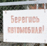 Пьяная автоледи устроила смертельное ДТП в Бурятии - UlanMedia.Ru