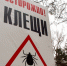 Бурятия попала в список самых «энцефалитных» регионов - Infpol.Ru