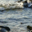 The share of financing the Priangarie in the program for the protection of Lake Baikal will be reduced from 30 to 24%/ Долю финансирования Приангарья в программе по охране Байкала снизят с 30 до 24% - InfoBaikal.Ru