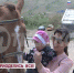 Лучший наряд на манеже - ТК Тивиком