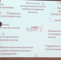 СЕМИНАР ДЛЯ ОКИНСКИХ ПРЕДПРИНИМАТЕЛЕЙ - Газета Аха