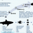 fish.png - Роспотребнадзор