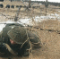 Команда военнослужащих из Бурятии выиграла окружной этап конкурса «Белое солнце» - Infpol.Ru