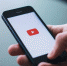 В Бурятии появился свой YouTube-канал для фермеров и садоводов - ГТРК Бурятия