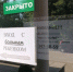Сибирский ученый рассказал о новом штамме коронавируса в 2020 году - Газета Новая Бурятия