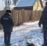 В Улан-Удэ застрелили одну из собак, терзавших девушку - ИА Байкал-Daily