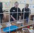 В Бурятии осужденных научили лепить буузы в форме конского хвоста и бараньего рога - ВостокТелеИнформ