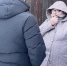 Улан-удэнке, чья собака набросилась на педиатра, грозит внушительный штраф - Infpol.Ru