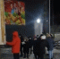 Собак, привезённых фурой из Якутска, отправят в Бурятии на карантин - ИА Байкал-Daily