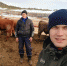 «Мясной барон»: Как фермеры из Бичурского района вышли на продовольственный рынок Бурятии - ВостокТелеИнформ