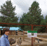 DSC05165.JPG - Россельхознадзор
