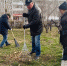 Фото Депутаты горсовета Улан-Удэ провели субботник в сквере им. Пушкина - Газета Новая Бурятия