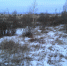01.02.23.jpg - Россельхознадзор