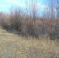 070223.jpg - Россельхознадзор