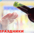 ПРАЗДНИКИ БЕЗ АЛКОГОЛЯ - Бурятский СПИД-центр