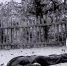 «Я услышала выстрелы, и папа упал». Как в 1960-х милиционер впервые в СССР открыл стрельбу по людям на улице - GazetaRB.Ru