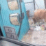 В пригородном районе Бурятии пожаловались на хаос на мусорных площадках - ИА Байкал-Daily