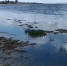 В Бурятии резко упал уровень воды в Гусином озере - Infpol.Ru