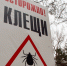 Клещи продолжают кусать жителей Бурятии - Infpol.Ru