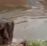 В Улан-Удэ пригородное СНТ защитят от большой воды - ИА Байкал-Daily