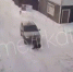 В Иркутской области переехавший собаку водитель сам пришёл в полицию - ИА Байкал-Daily