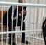 Пьяный житель Бурятии напал с ножом на повара кафе - Infpol.Ru