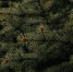 image - GazetaRB.Ru