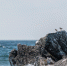 image - GazetaRB.Ru