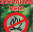 В БУРЯТИИ РАЗРАБОТАЛИ ПРОГРАММУ ДЛЯ ПРОГНОЗИРОВАНИЯ ЛЕСНЫХ ПОЖАРОВ С ПОМОЩЬЮ ИСКУССТВЕННОГО ИНТЕЛЛЕКТА - Министерство образования