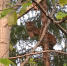 image - GazetaRB.Ru
