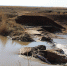 image - GazetaRB.Ru