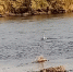 image - GazetaRB.Ru