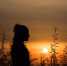 image - GazetaRB.Ru