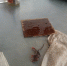 image - GazetaRB.Ru