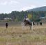 image - GazetaRB.Ru