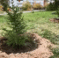 image - GazetaRB.Ru