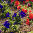 image - GazetaRB.Ru