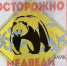 На севере Бурятии возле города бродит медведь - ИА Байкал-Daily
