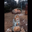 image - GazetaRB.Ru