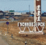 В райцентре в Бурятии неизвестные продолжают стрелять по кошкам - ИА Байкал-Daily