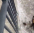 image - GazetaRB.Ru