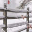 image - GazetaRB.Ru