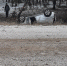 image - GazetaRB.Ru