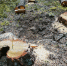 image - GazetaRB.Ru