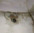 image - GazetaRB.Ru