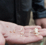 image - GazetaRB.Ru