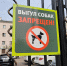 Фото Жителям Бурятии рассказали о требованиях к содержанию и выгулу домашних животных - Газета Новая Бурятия