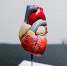 image - GazetaRB.Ru