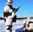 image - GazetaRB.Ru