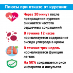 Со 2 по 8 декабря 2024 года проводится Неделя профилактики потребления никотинсодержащей продукции